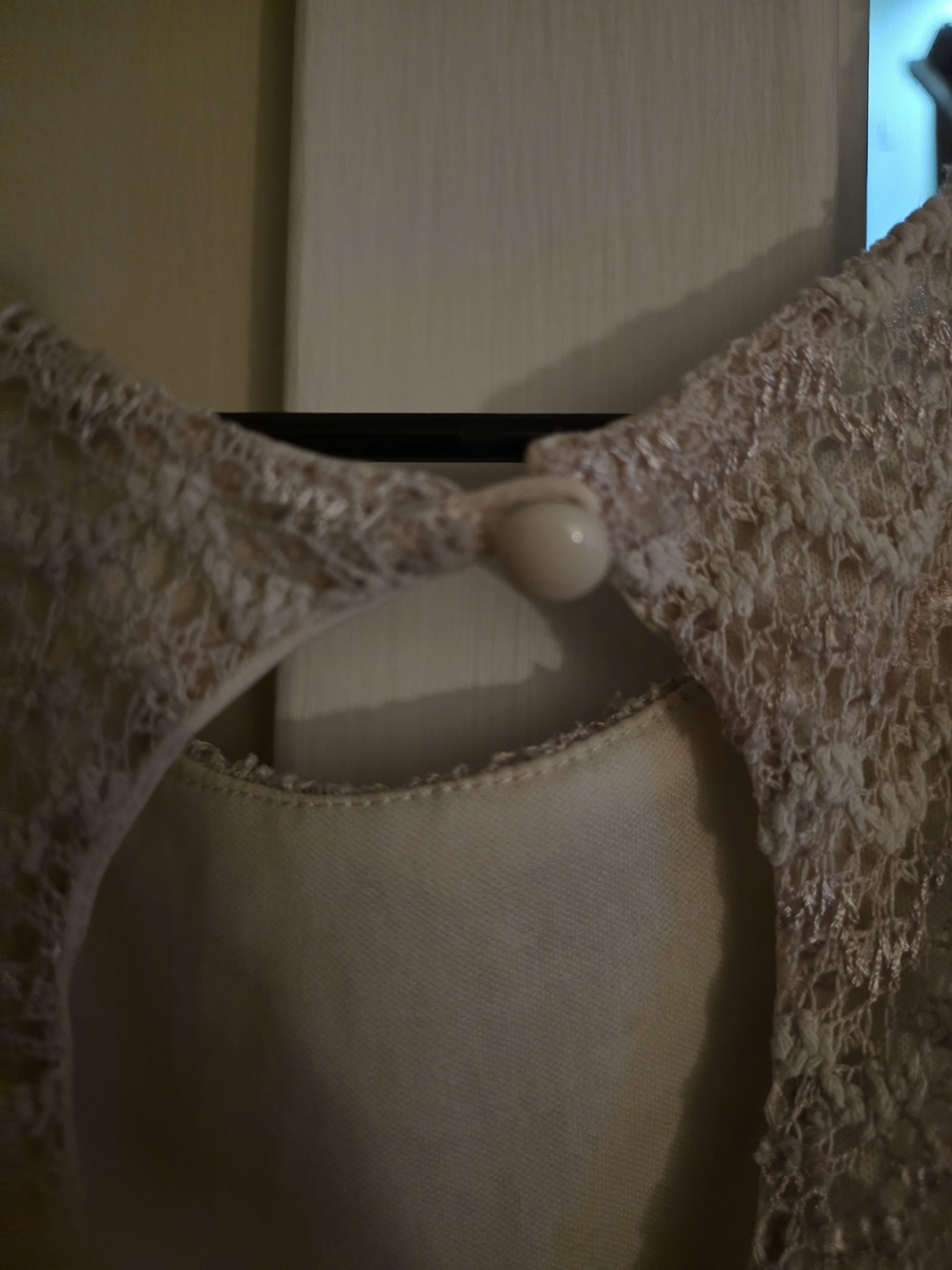 Sans Souci Beige Lace Fit-and-Flare Mini Dress - Picture 10 of 13